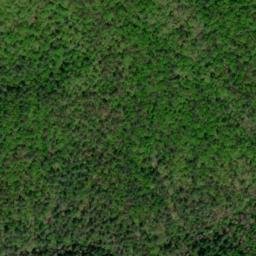 Satellite imagery of Dads Ridge, US