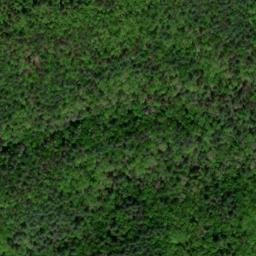 Satellite imagery of Stamp Ridge, US