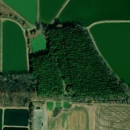 Satellite imagery of A 108 — NGS EH2139 — Lonoke County, US, US