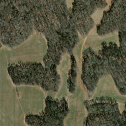 Satellite imagery of Greens Bluff, US