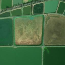 Satellite imagery of B 7 — NGS EH2128 — Lonoke County, US, US