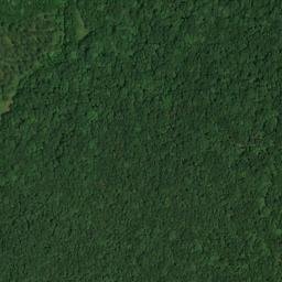 Satellite imagery of Little Nashville Point, US