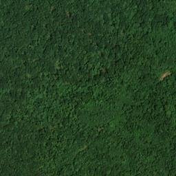 Satellite imagery of Little Nashville Point, US
