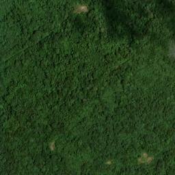 Satellite imagery of Little Nashville Point, US