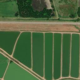 Satellite imagery of WTL — NGS EH2106 — Lonoke County, US, US