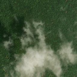 Satellite imagery of Little Nashville Point, US