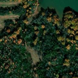 Satellite imagery of Melton Bluff, US
