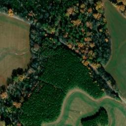 Satellite imagery of Melton Bluff, US