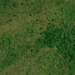 Satellite imagery of Locust Log Ridge, US