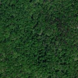 Satellite imagery of Freeman Point, US