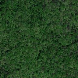 Satellite imagery of Freeman Point, US