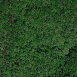 Satellite imagery of Freeman Point, US
