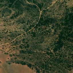 Satellite imagery of Djebel Menizla, DZ
