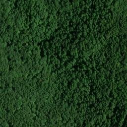 Satellite imagery of Pickering Mine, US
