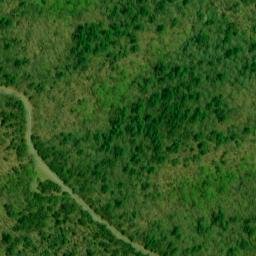 Satellite imagery of Piney Ridge, US