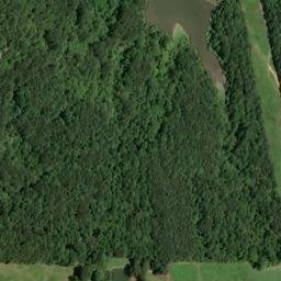 Satellite imagery of Fincher Bluff, US