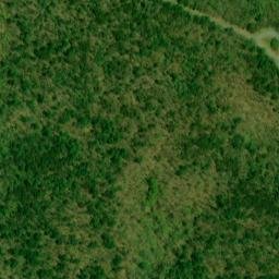 Satellite imagery of Piney Ridge, US