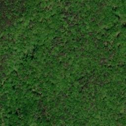 Satellite imagery of Piney Ridge, US