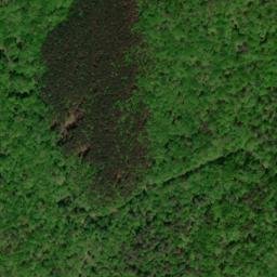 Satellite imagery of Piney Ridge, US