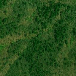 Satellite imagery of Piney Ridge, US