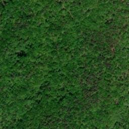 Satellite imagery of Piney Ridge, US