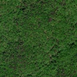 Satellite imagery of Piney Ridge, US