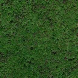 Satellite imagery of Piney Ridge, US