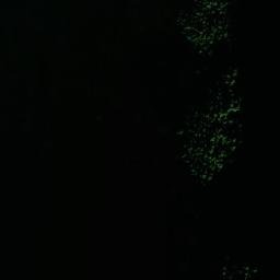 Satellite imagery of Sōtan Ghar, AF