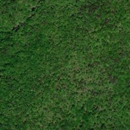 Satellite imagery of Piney Ridge, US
