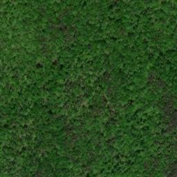 Satellite imagery of Piney Ridge, US