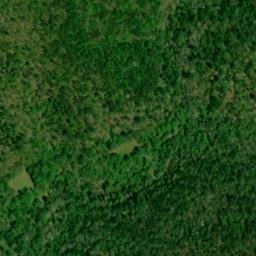 Satellite imagery of Bee Tree Ridge, US