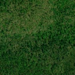 Satellite imagery of Bee Tree Ridge, US