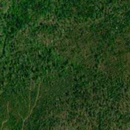 Satellite imagery of Bee Tree Ridge, US