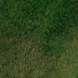 Satellite imagery of Bee Tree Ridge, US