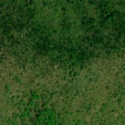 Satellite imagery of Bee Tree Ridge, US