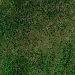 Satellite imagery of Bee Tree Ridge, US