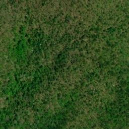 Satellite imagery of Bee Tree Ridge, US
