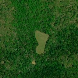 Satellite imagery of Bee Tree Ridge, US