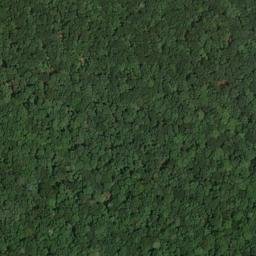 Satellite imagery of Nolton Point, US