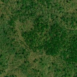 Satellite imagery of Rich Mountain, US