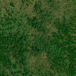 Satellite imagery of Rich Mountain, US