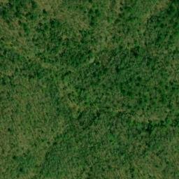 Satellite imagery of Rich Mountain, US