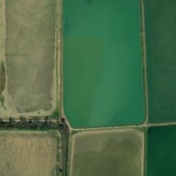 Satellite imagery of WTD — NGS EH2291 — Lonoke County, US, US