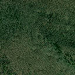 Satellite imagery of Grayson Point, US