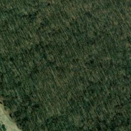 Satellite imagery of Pine Bluff, US
