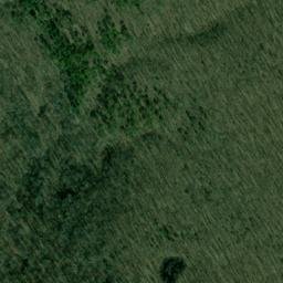 Satellite imagery of Grayson Point, US