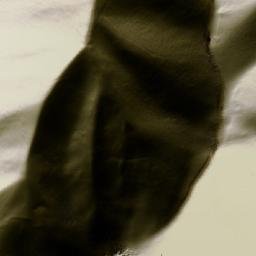 Satellite imagery of Siyāh Qargh, AF