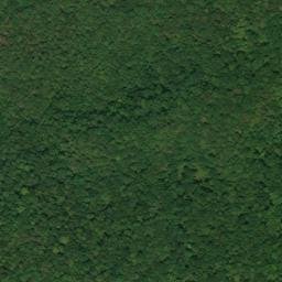 Satellite imagery of Stogsdill Point, US