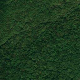 Satellite imagery of Kuykendall Point, US