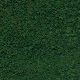Satellite imagery of Kuykendall Point, US